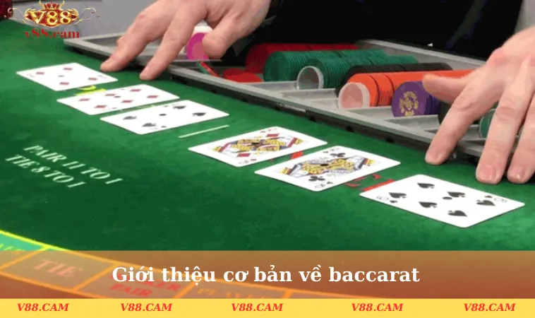 Giới thiệu cơ bản về baccarat